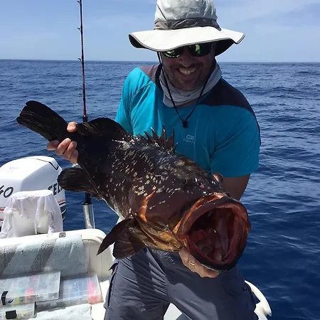 Elimo - Di Scardino Leonardo Poggioreale