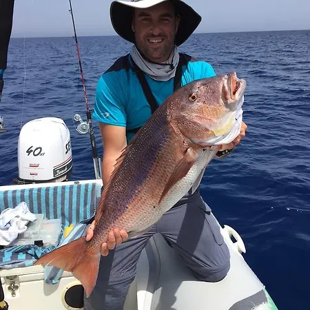 Elimo - Di Scardino Leonardo