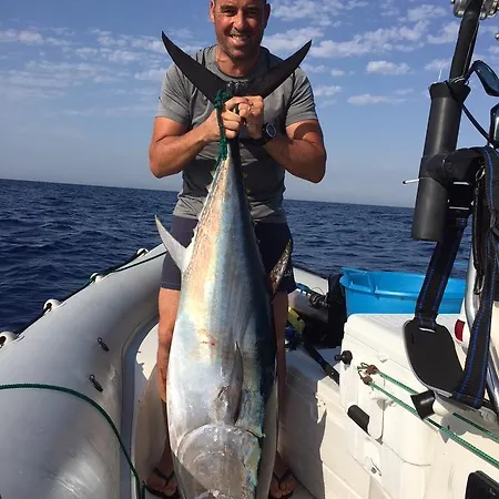 Elimo - Di Scardino Leonardo